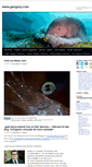 Mobile Screenshot of gangoly.com